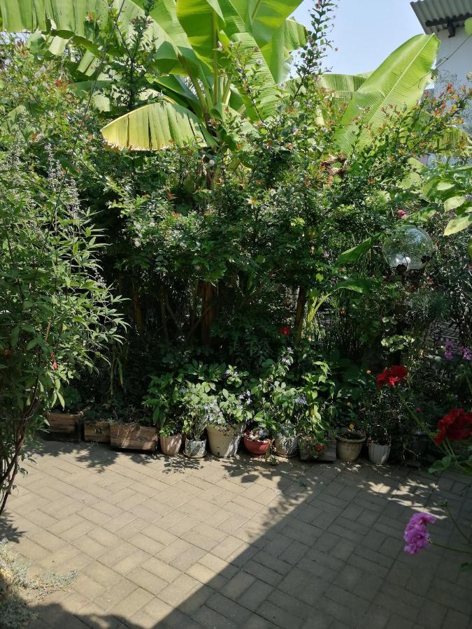 Magnoliia 호텔 수쿰 외부 사진